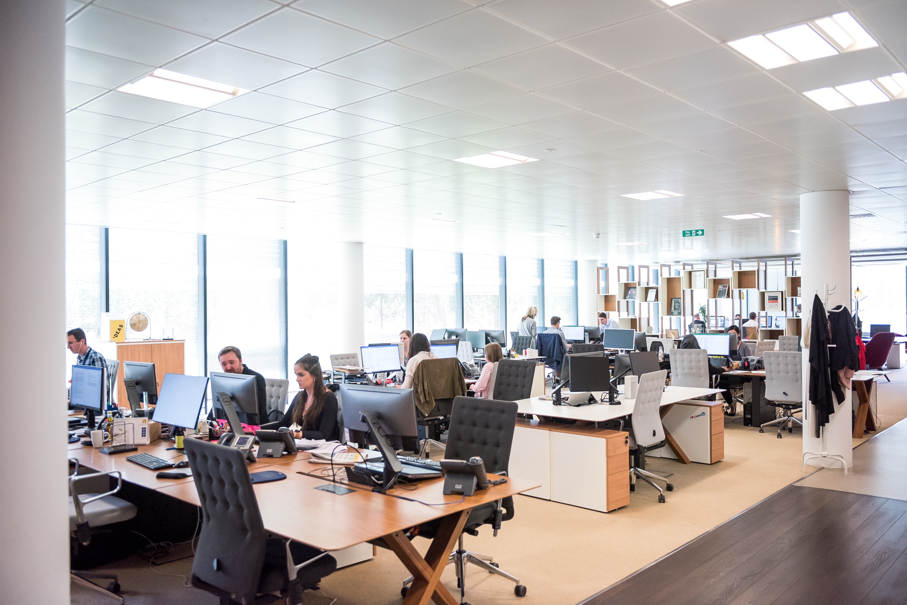 Office full of computers